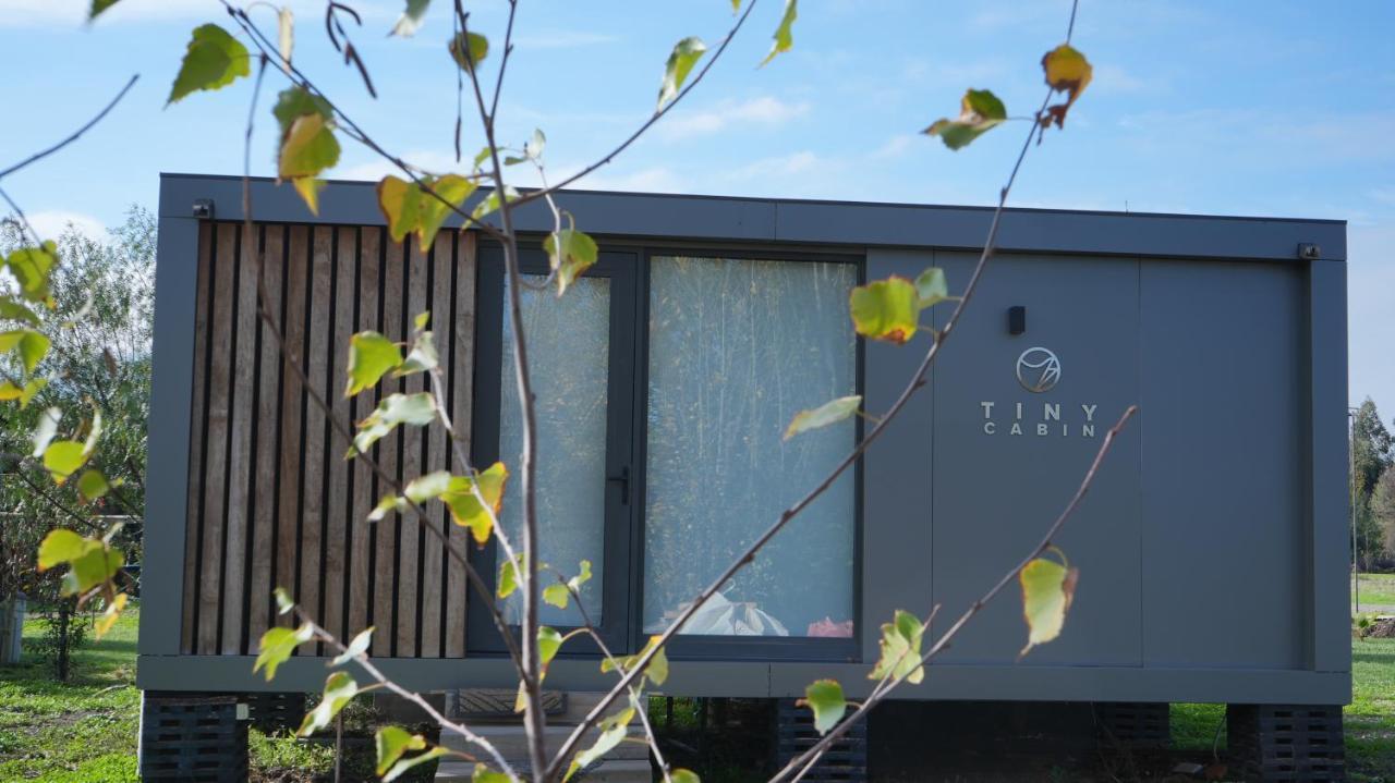 Апартаменти Tiny Colchagua Cabanas Y Padel Санта-Крус Екстер'єр фото